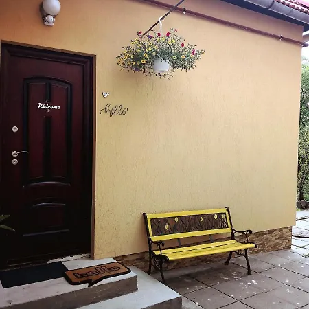 Sunny Town House Braşov